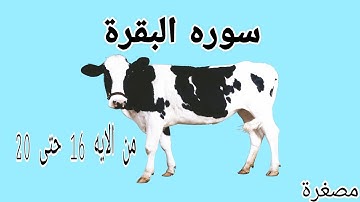 سورة البقرة | مصغرة | من الايه 16 حتى 20