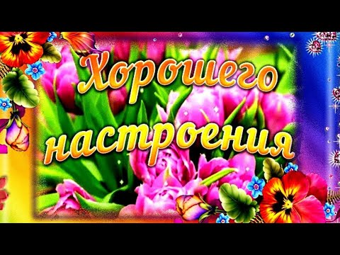 ХОРОШЕГО НАСТРОЕНИЯ! отличные пожелания #видеооткрытки #анимация