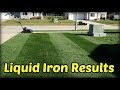 Does Liquid Iron Work? + Fall Lawn Mowing Fun