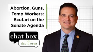 Sen. Nicholas Scutari on top issues for New Jersey Senate | Chat Box