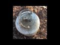 Building a forge from a propane tank part 1: preparing the tank