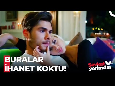 Bora ve Yalan Çok Güzel Yakıştı! - Şevkat Yerimdar Özel Sahneler