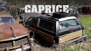 Wagon Week EP1 - Caprice Classic