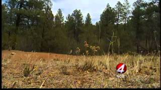 Threats of fire shuts down Cibola National Forest