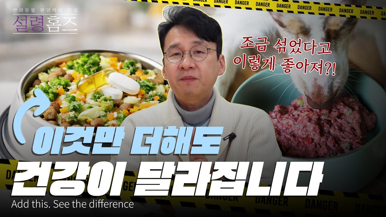 매일 주던 사료에 이것(?)만 더해도 건강이 확 달라집니다 [반려동물 영양학의 진실🕵설령 홈즈🔍 Ep.20 초가공식품]