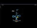 TRANSCRIPTION IN EUKARYOTES|MOLECULAR BIOLOGY | COMPETATIVE EXAM 2027