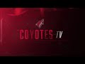 10/20/2015 - Dave Tippett Press Conference
