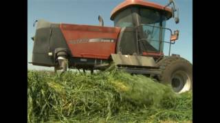 Double Windrow Attachment For Windrower