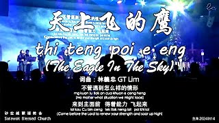 天上飞的鹰 thi teng poi e eng (The Eagle In The Sky)