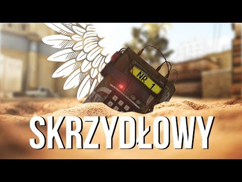 Pokarani Na Koniec Roku - CS:GO - Skrzydłowy