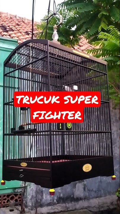 TRUCUKAN SUPER FIGHTER