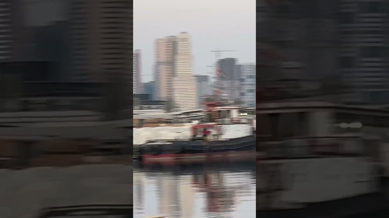 Loading of cargo ship Dubai to Iran 