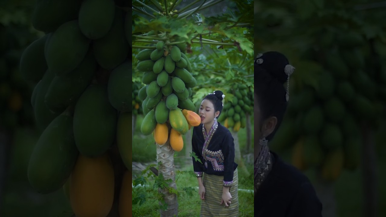 What a beautiful place with delicious fruits 😋🍊🥭🍎🍒🍌