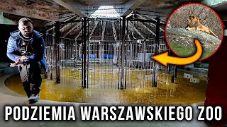 Co kryją podziemia warszawskiego ZOO?