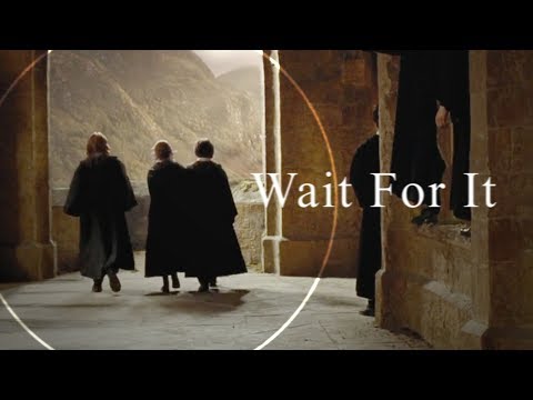 Wait for it || Harry Potter ♡
