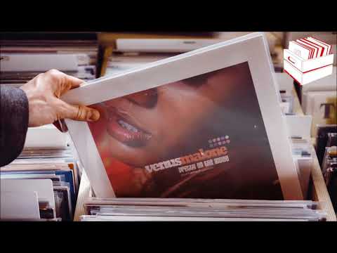 wallpapers Pretty On The Inside Vinyl venus malone pretty on the inside