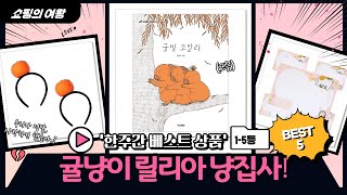 릴리아와 함께하는 귤냥쓰 냥집사 일상! (feat. 스크래쳐  학용품)