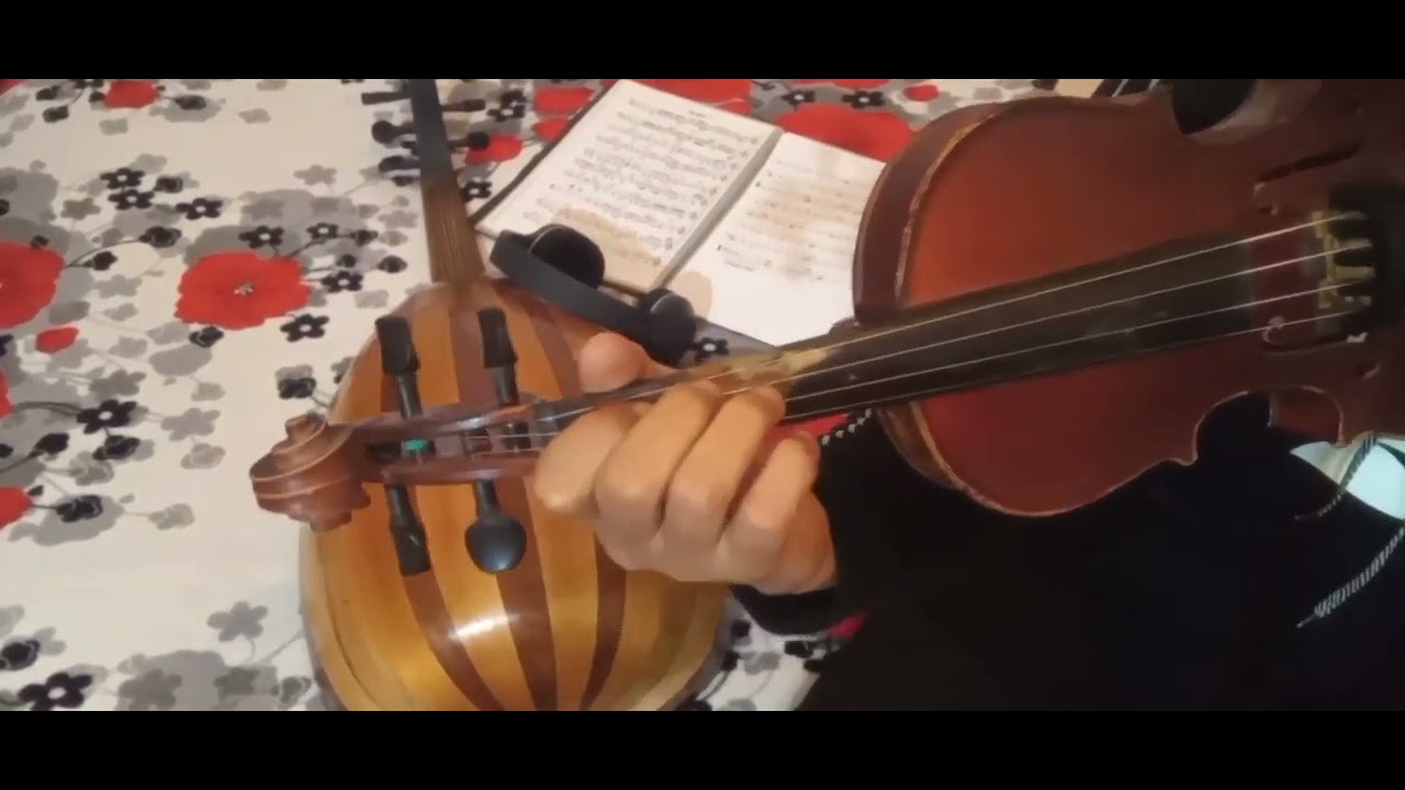 تعليم عزف اغنية سولت عليك العود و الناي  (2)