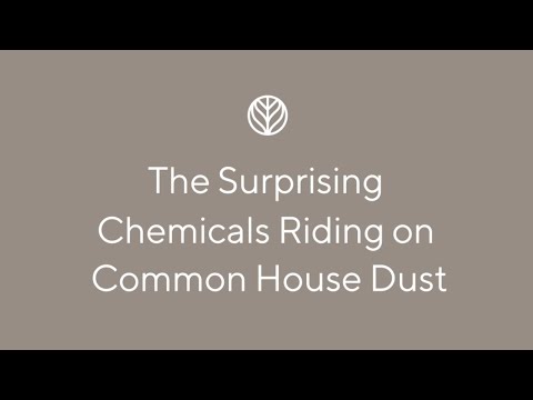 The Surprising Chemicals Riding on Common House Dust