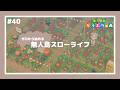 【 あつ森 】 #40 ┊︎つねきちビーチまでの道作る【 びすけっ島 】