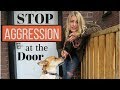How to Enter the HOME of an 'AGGRESSIVE DOG' (for dog walkers) | Part 1 How to Enter the HOME of an 'AGGRESSIVE DOG' (for dog walkers) | Part 1