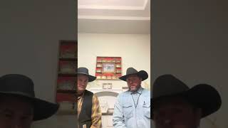 Blue Heeler Vs Border Collie