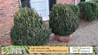 Crows Nest Nursery | Boxwoods For Sale Atlanta GA | Luke Testimonial
