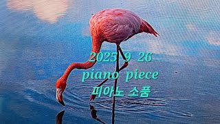 Blush 🌹 rose  부끄러운 장미  J.S. Fearis