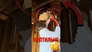 🥩 Старинный способ хранить мясо всю зиму! #коптильня #копчениемяса #мясо