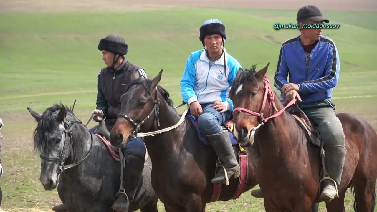 Қосағаш елдімекені Құрақовтар әулеті Уалихан Нұрболат Ерболат Шынболат мырзалардың той көкпары
