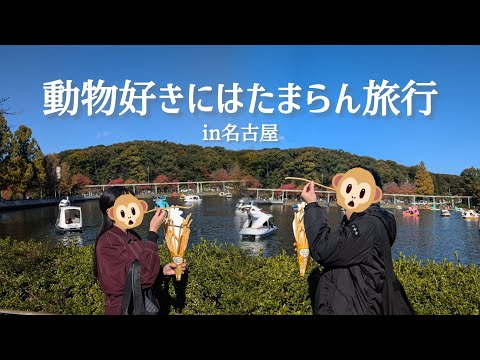 【レア生物】〇〇に会いに行く🦖東山動物園デート