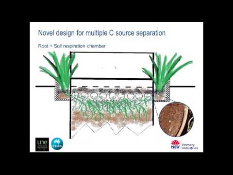 What happens to carbon in the soil after biochar is applied?