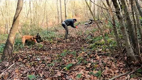 Build % Hunter's % Cabin % with % Fireplace %   % Jungle % Refuge % of % Wood % and % Clay % Part 1