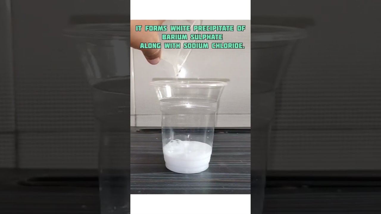 Barium Chloride And Sodium Sulphate 10th Activity Shorts Scienceexperiment
