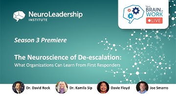 Your Brain at Work LIVE - 17 (S3 E01) - The Neuroscience of De-escalation