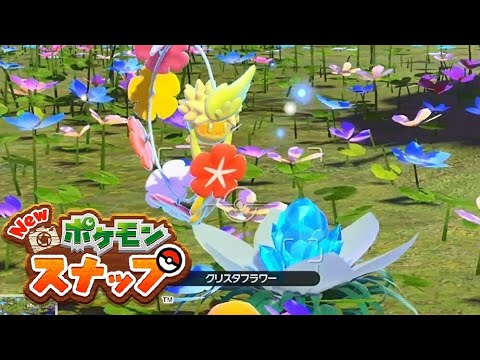 Newポケモンスナップ こわがらないで 花畑に元気を リクエスト キュワワー フラージェス ポケスナ Switch Youtube