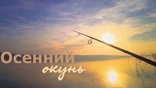 Осень. Окунь. Микроджиг. Тактика ловли пассивного окуня.