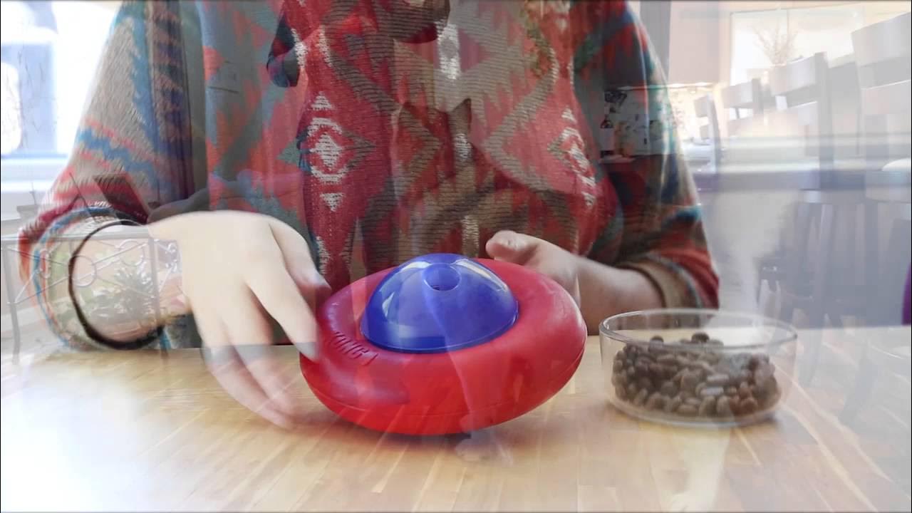KONG Gyro Treat Dispensing Dog Toy - S