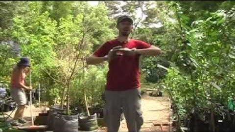 In Transition Part 3