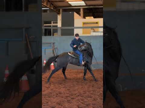 Extrait d'entraînement en barrel racing avec CT Gabriel Cardoso