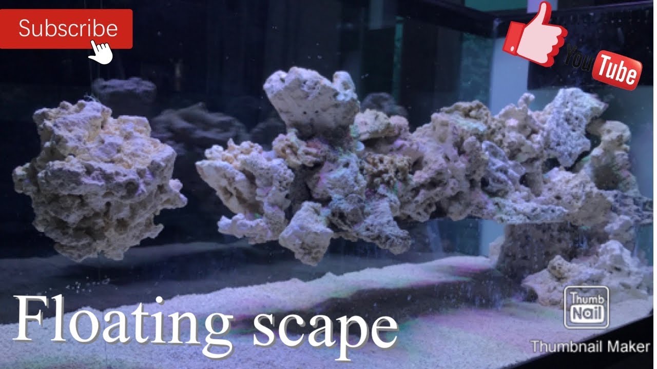 Part 2 | How to : diy: floating rockscape with PRO TIPS – HousePetsCare.com