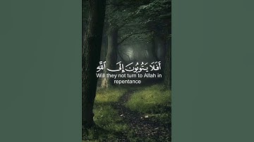 قرآن كريم بصوت عبدالرحمن مسعد من سوره المائده 💕🌸 |#عبدالرحمن_مسعد #قرآن #قران_كريم