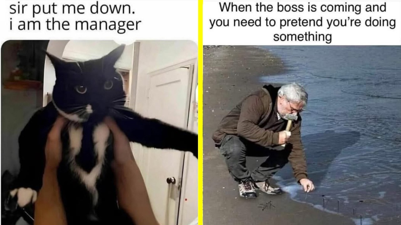 Memes I found on the Internet 14 | Sir, put me down. I am the manager