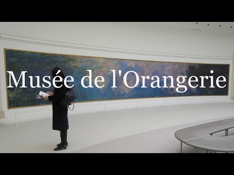 Video: „Crinii De Apă” De La Monet Beneficiază De Tratament VR La Paris Musée De L’Orangerie