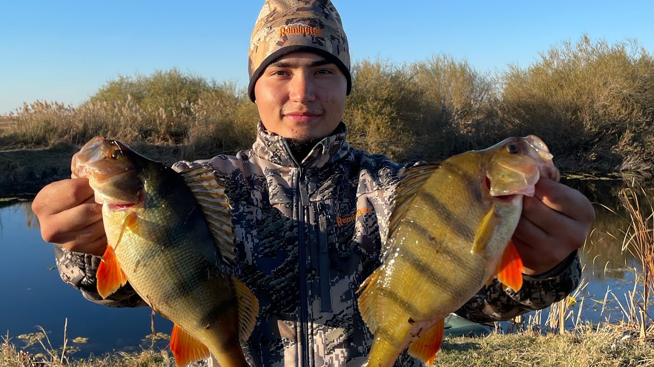 ТУРГАЙ ОСЕНЬ 2025. ТРОФЕЙНЫЕ ЩУКИ И ОКУНИ ЛОМАЮТ СПИННИНГИ 