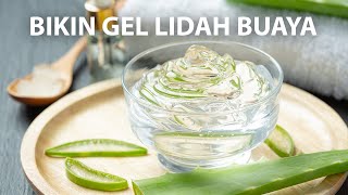 How to Make Your Own Aloe Vera Gel