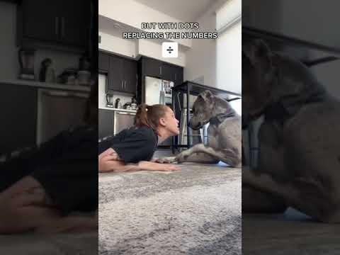 I Think My Dog Is Done With Me 😢🐶 w OnlyJayus – #Shorts