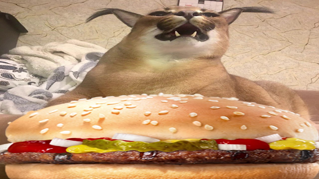 большой русский шлепа Рекламирует Двойной Биг Мак с четырьмя котлетами ...