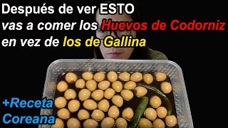 6 Razones por las que DEBES comer los Huevos de Codorniz en vez de los de Gallina