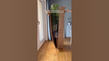 Welcome in my design blog 🎋